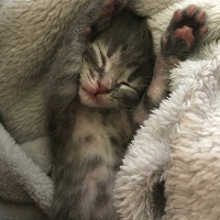 Very young Marie stretching in her sleep.